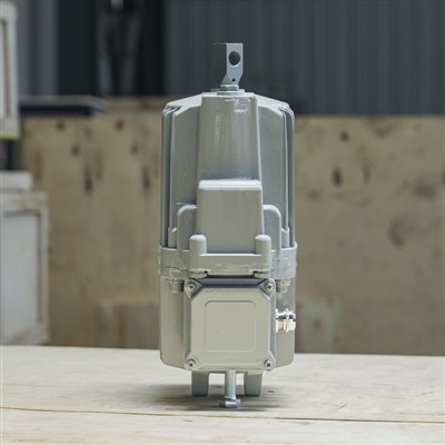 Propulsor electrohidráulico Ed para el mercado ruso